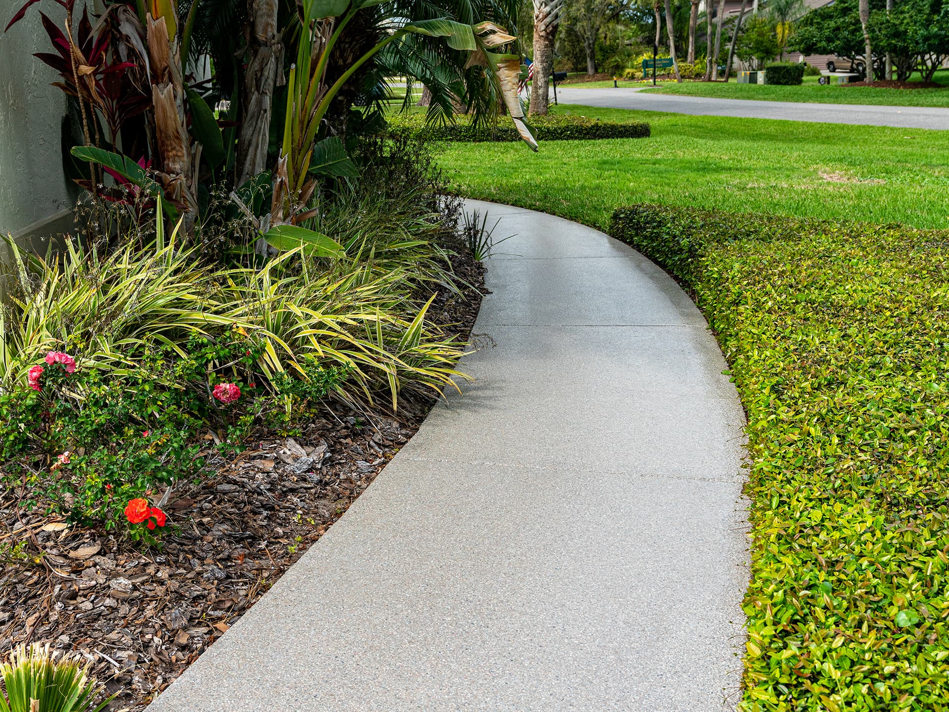 cccc-residential-sidewalk-coating-epoxy-polyurea