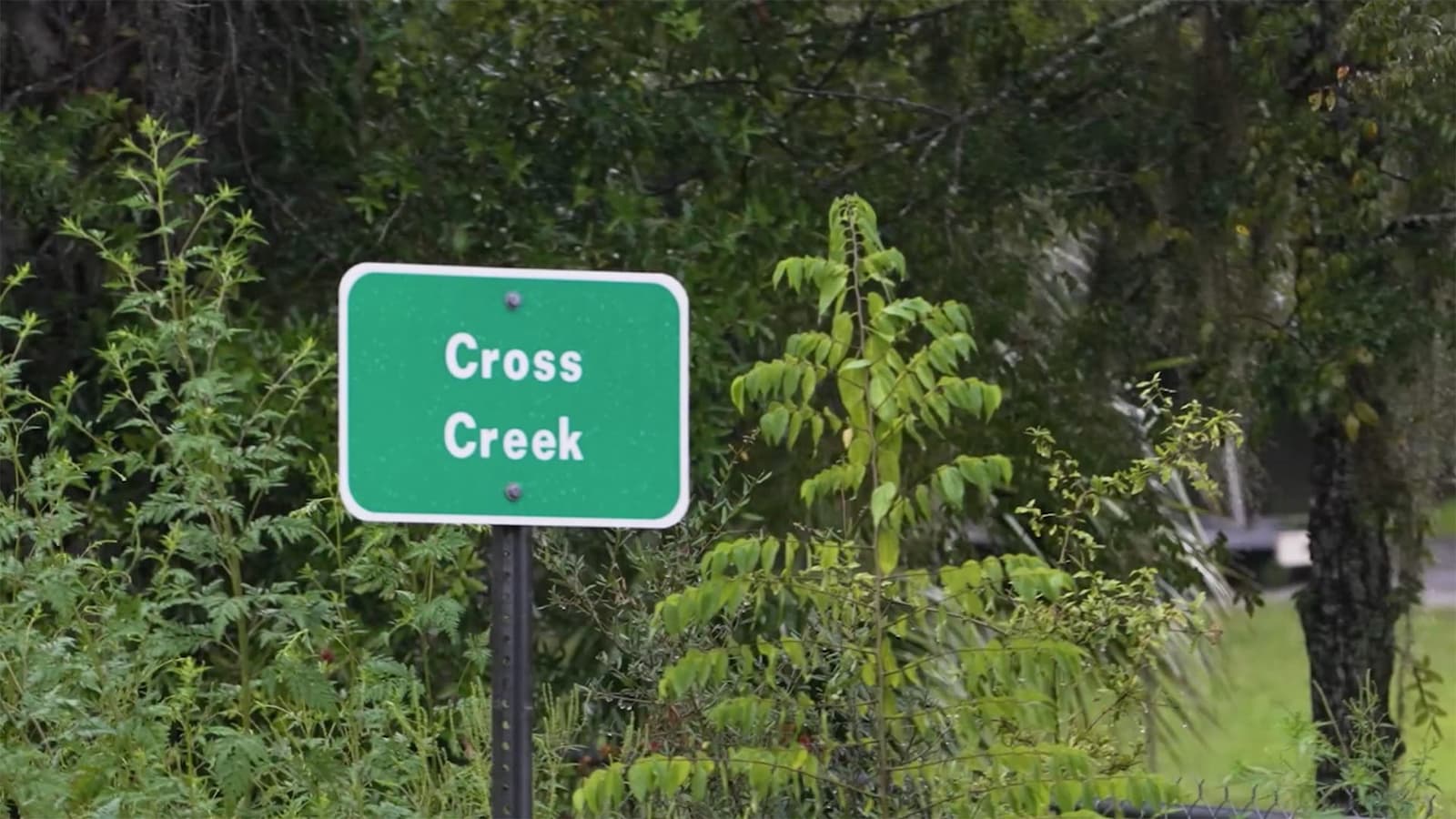 Cross Creek Concrete Coatings: A Family Dream Built on Gators, Garages, and Great Floors